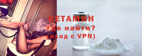 дживик Верхний Тагил